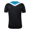 Original Fußballtrikot Gremio Ausweichtrikot 2024-25 Für Herren